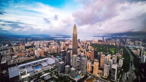 你好,我是深圳