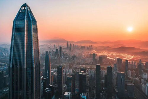 反向消费,香港人拉行李箱在深圳买买买