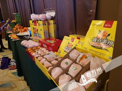 再现蜀汉千年红 飘香鹏城万株金--首届三峡库区柑橘产品推介会在深圳开展